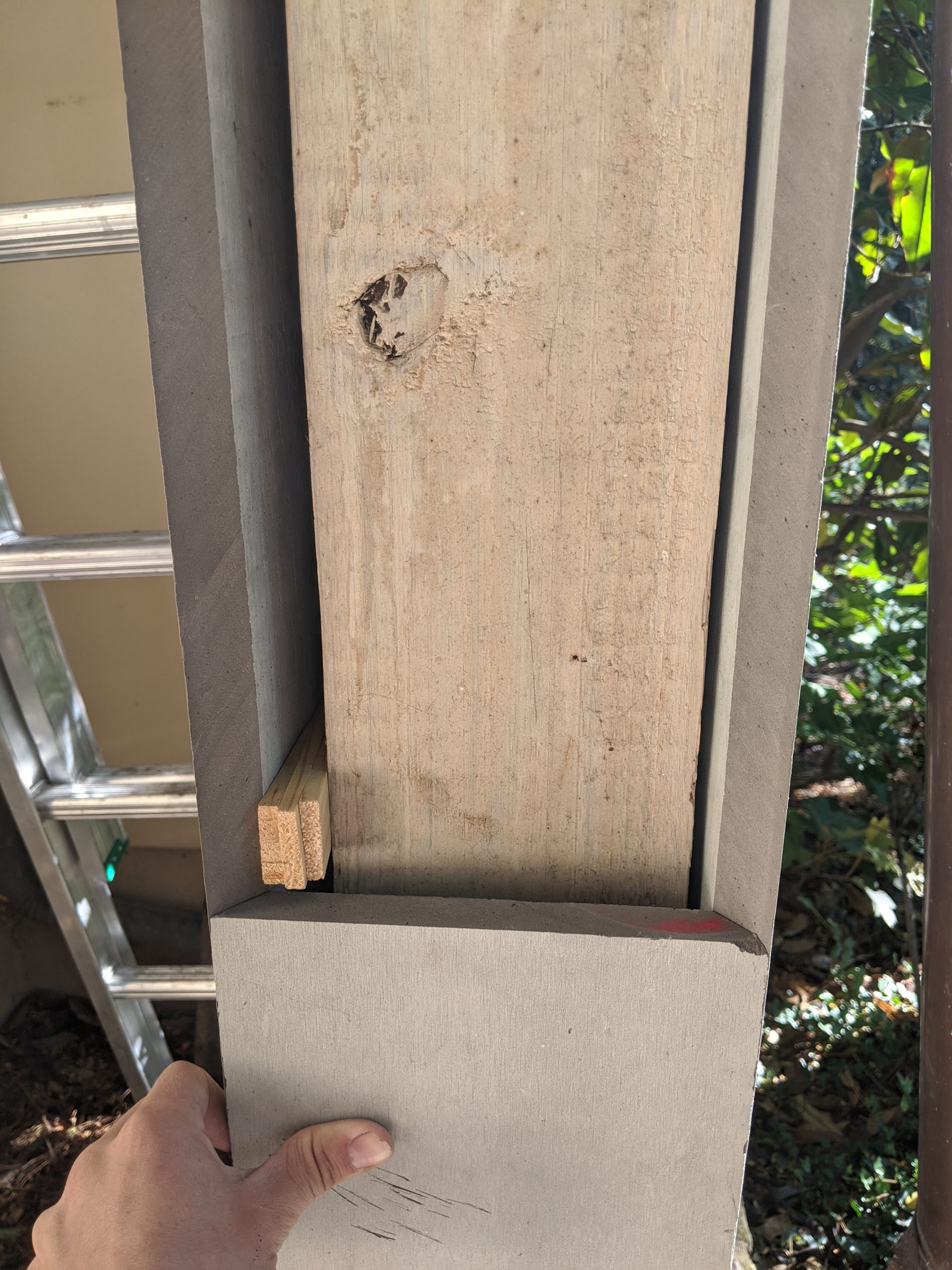 repairing wood rot